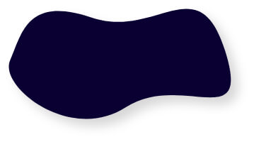 Forme mobile marine pour le header de la page projet
